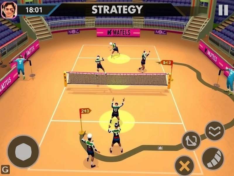 Mahal Volley Mighty Indian Stadium